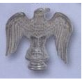 Eagle Award (2-5/8")